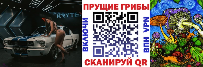гидра как зайти  Донецк  Псилоцибиновые грибы мицелий 