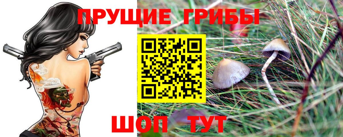 Галлюциногенные грибы Cubensis  Вход с VPN  Донецк 